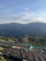 Preview: Rohkaffee Bolivien Geisha