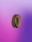 Preview: anaerob natural Pacamara Bolivien