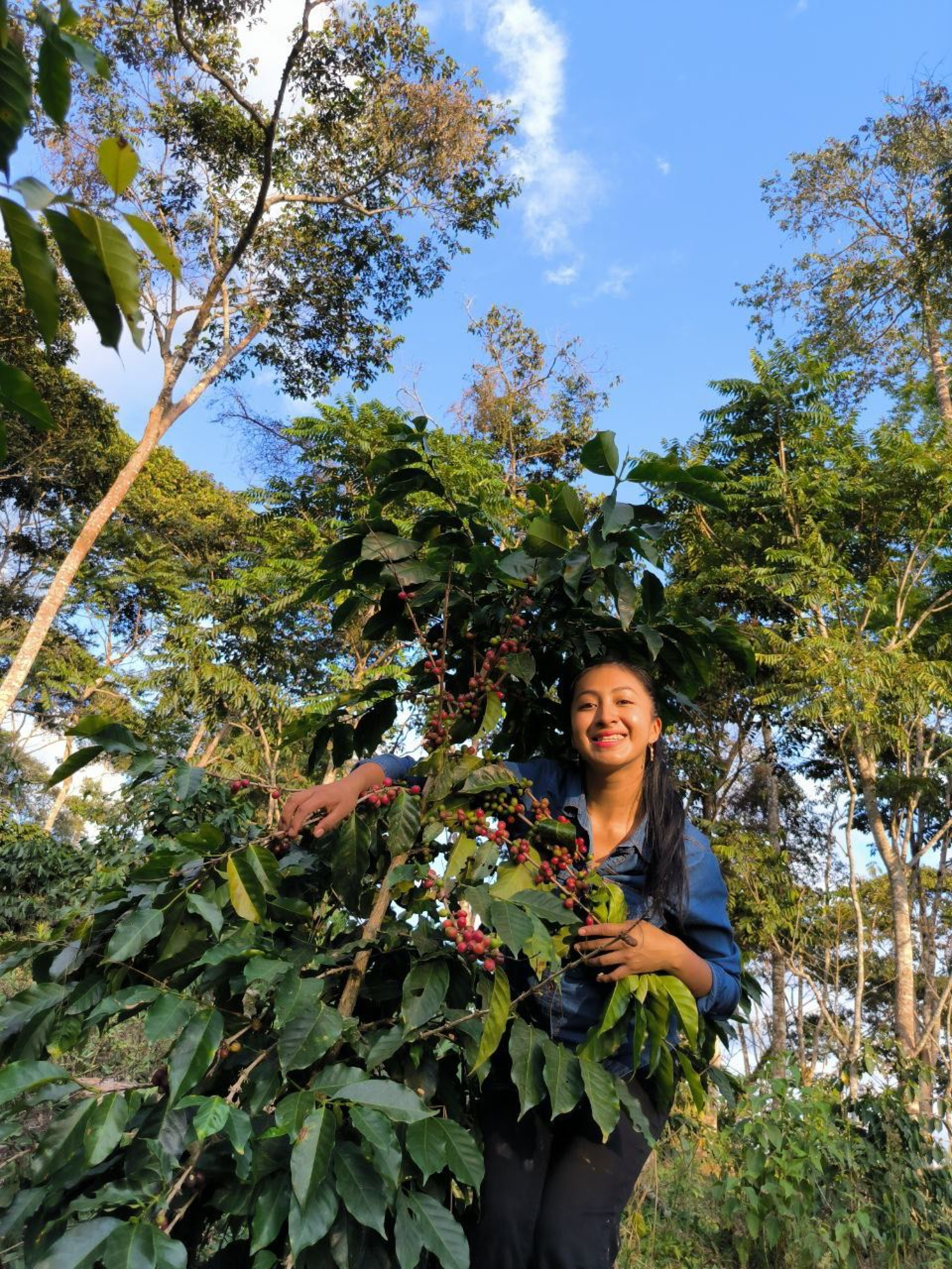 Preview: SAFTIG I CLEAN I PFIRSICH I KARAMELL / BIO-Kaffee Finca Monte Cielo