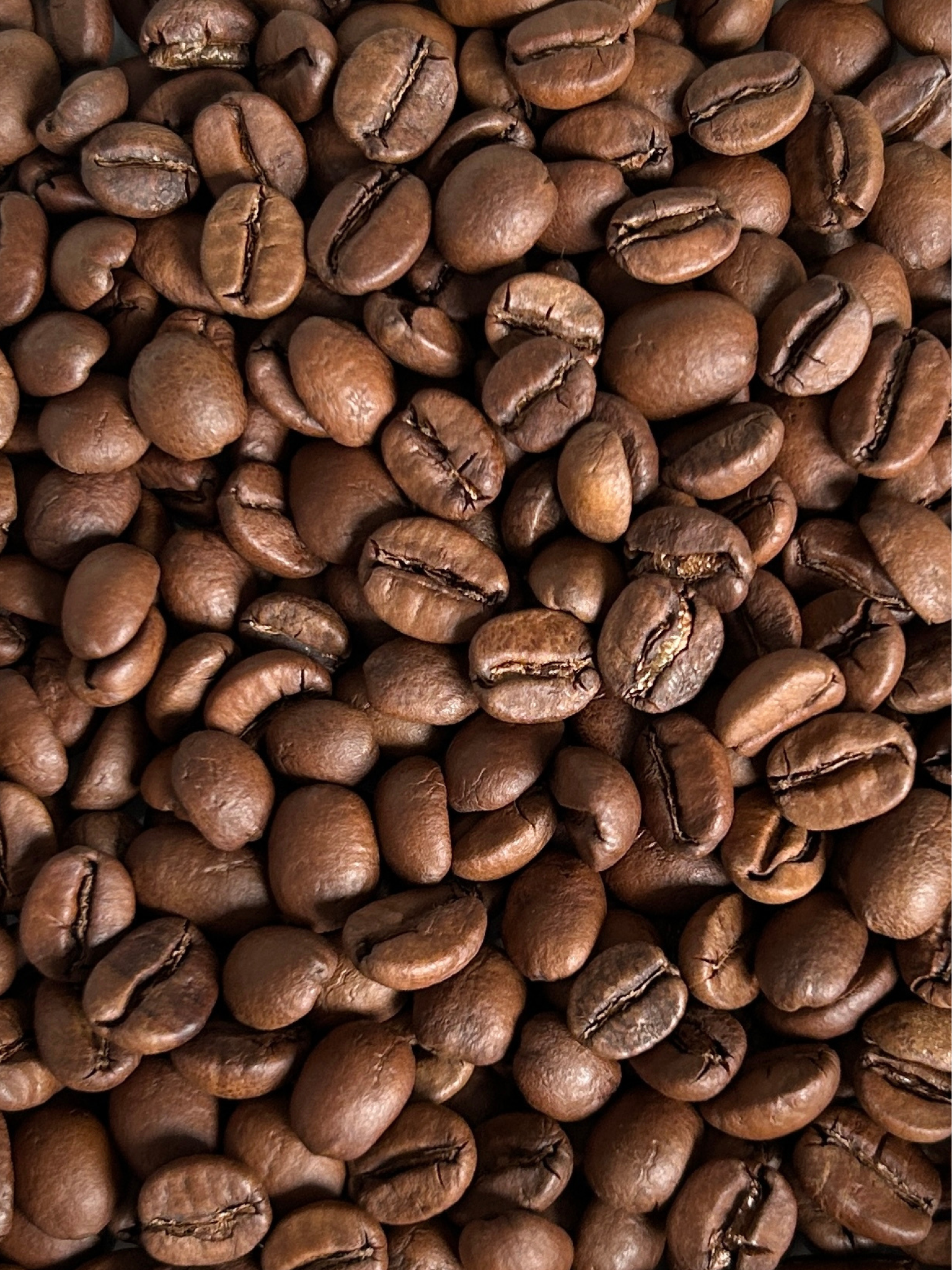 Preview: Bohnenbild natural