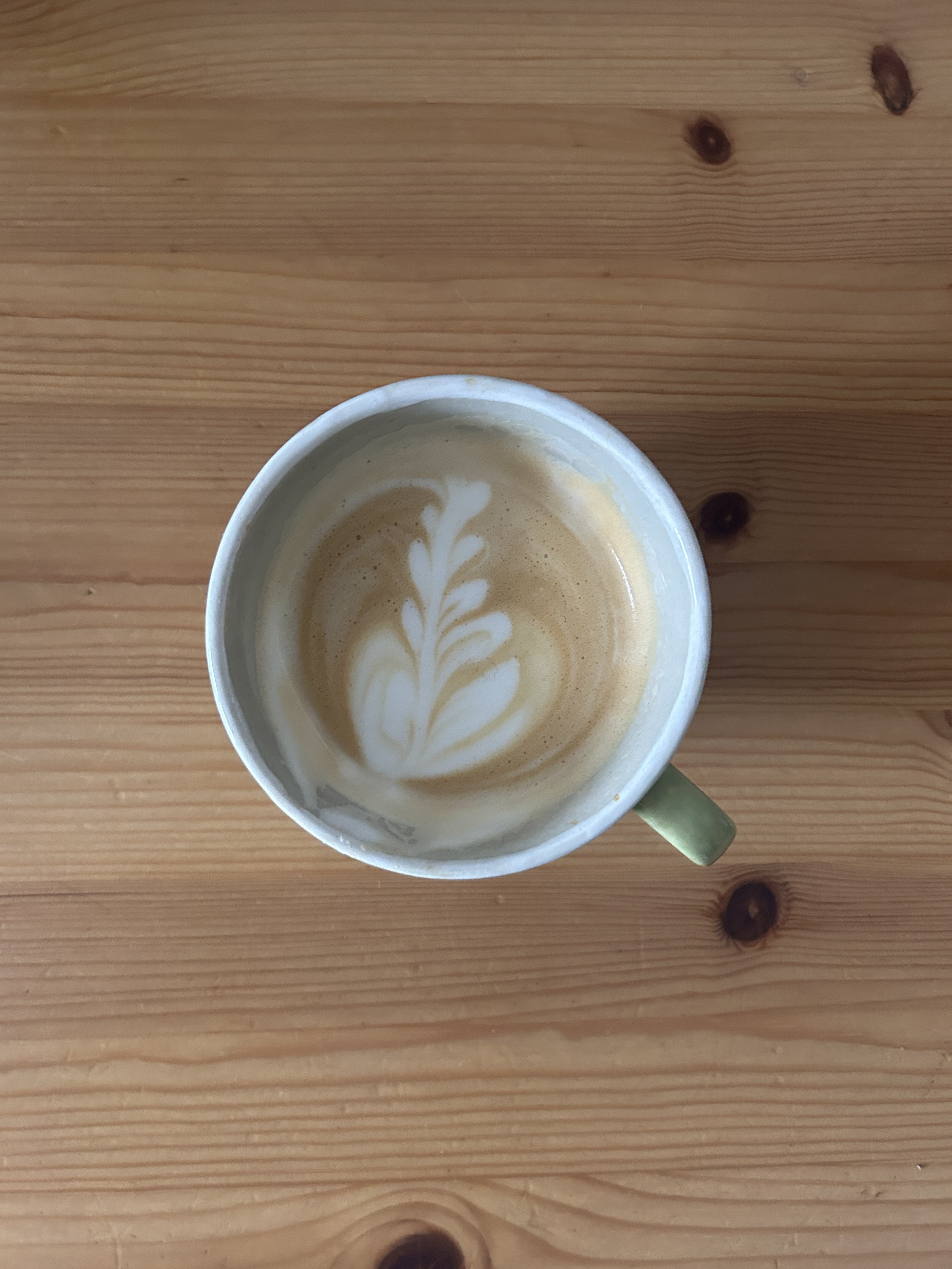 richtig Milch schäumen