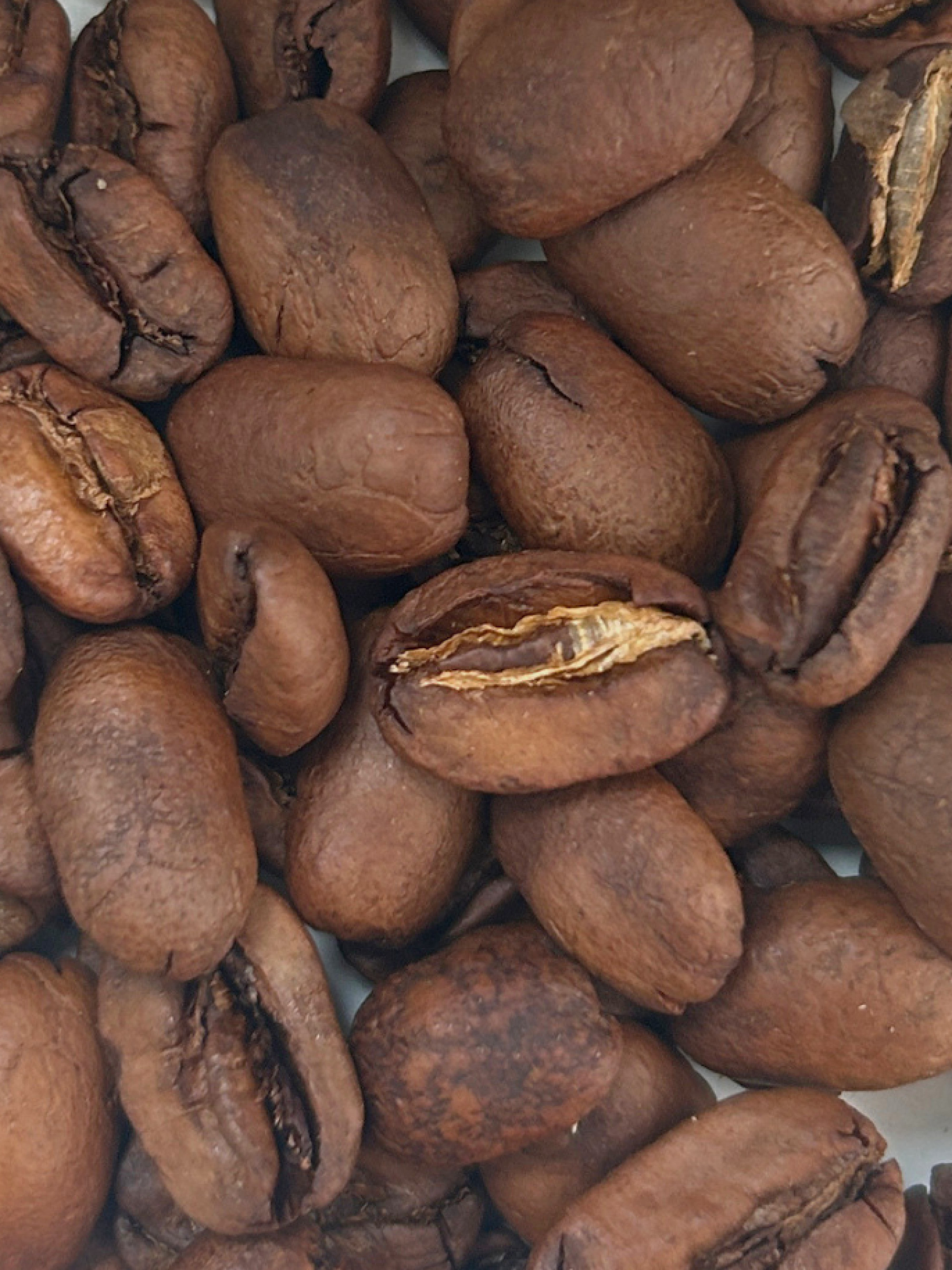 Pacamara geröstet