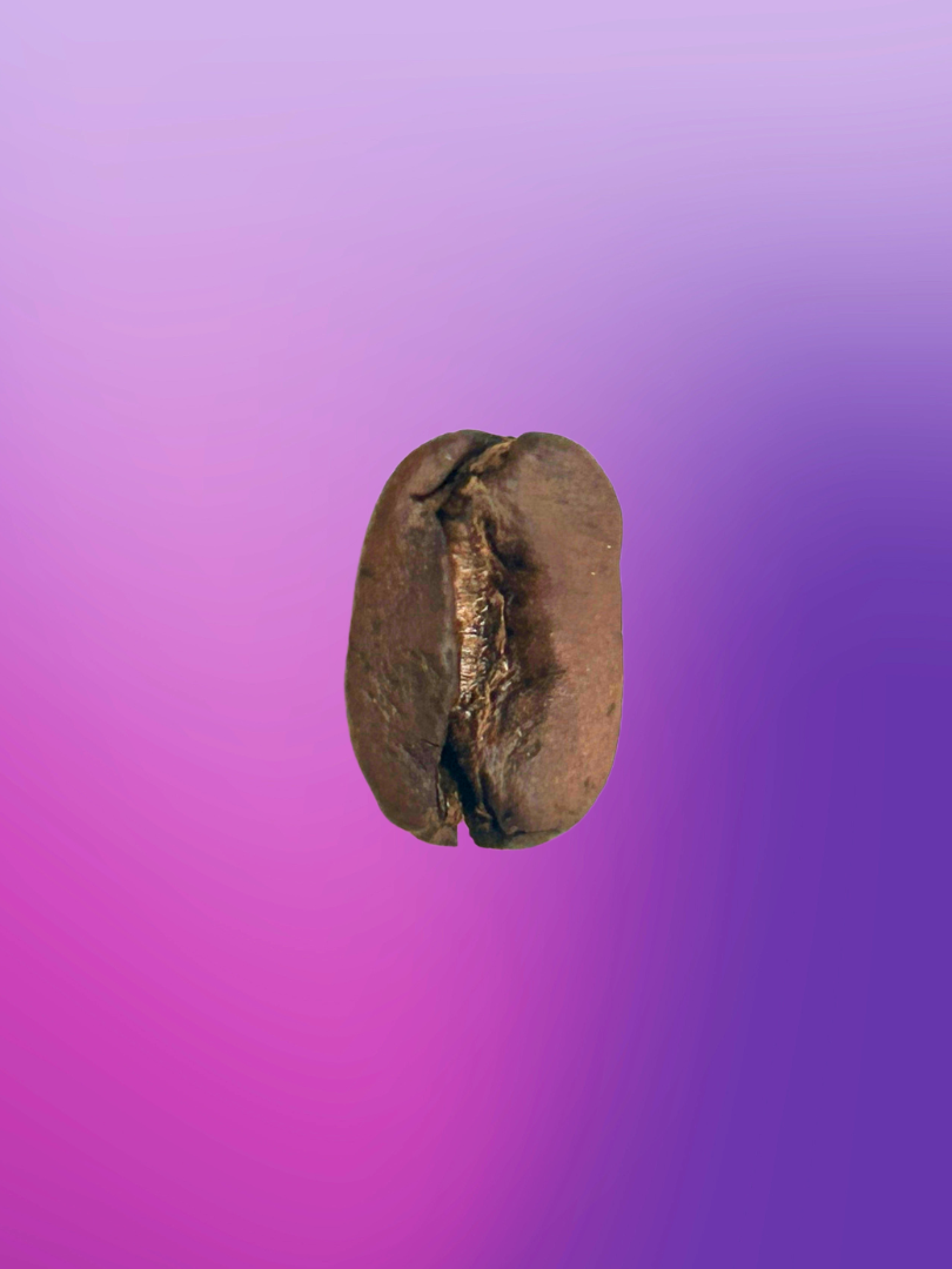 anaerob natural Pacamara Bolivien