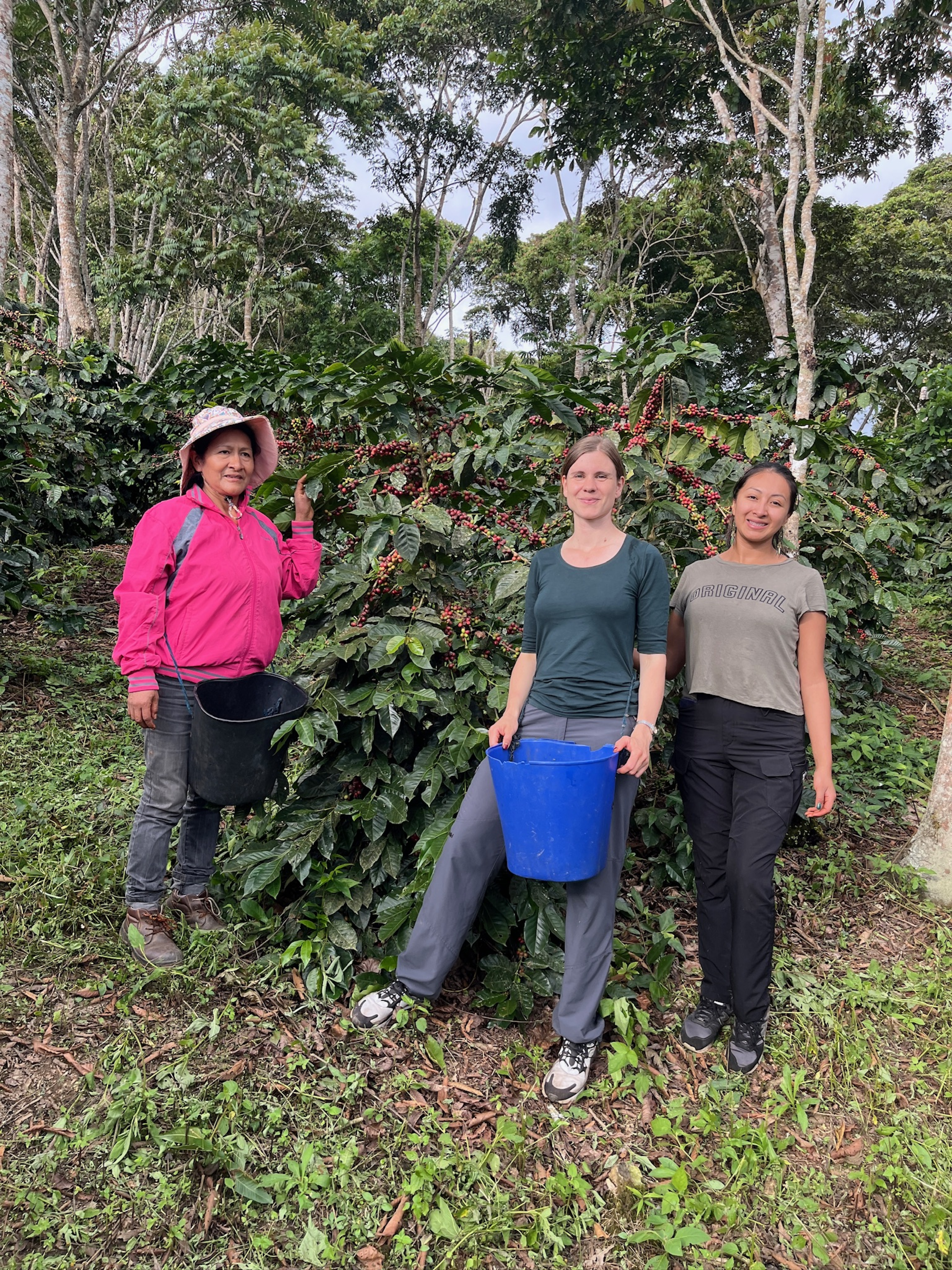 Spezialitätenkaffee Bolivien