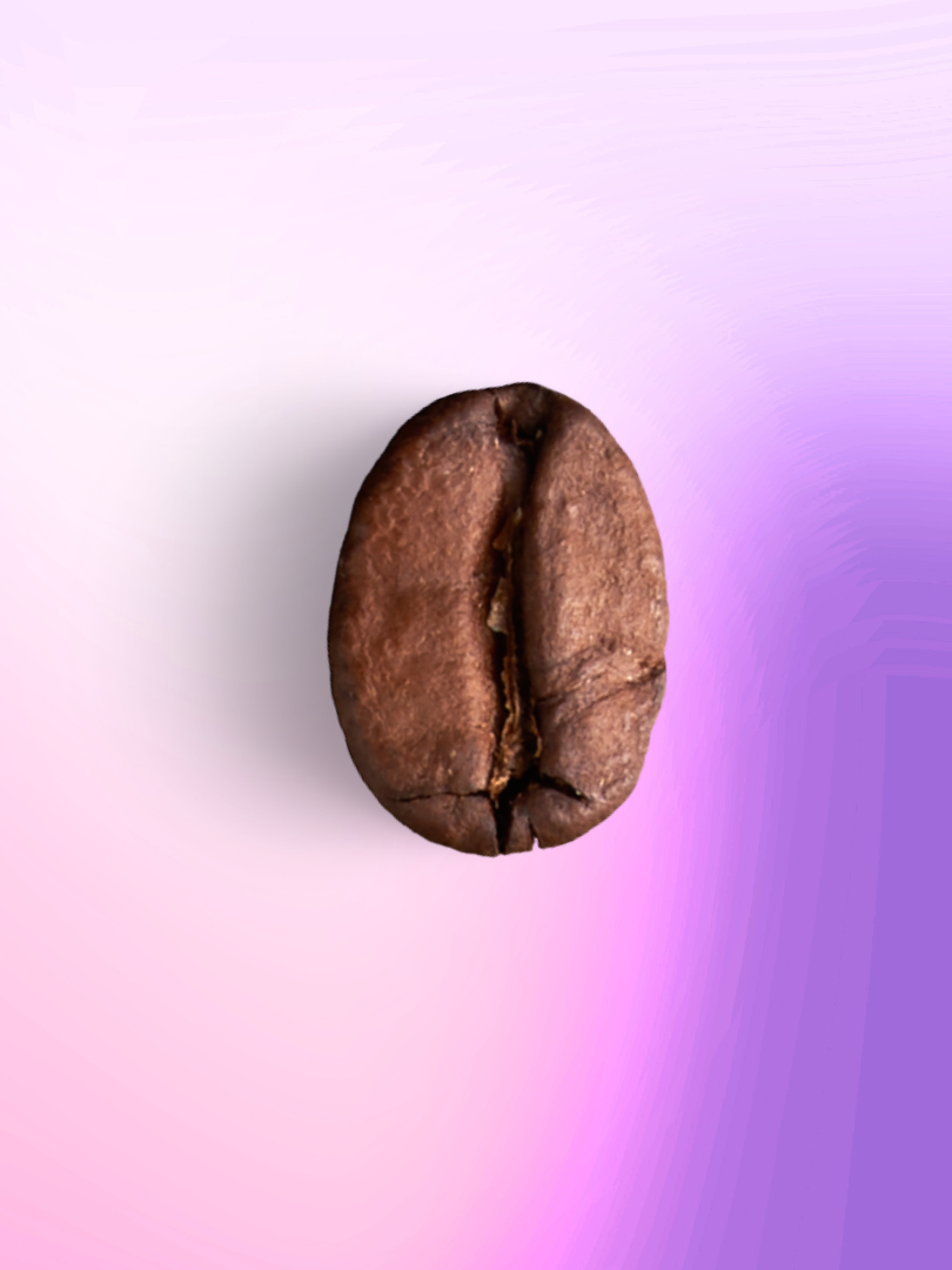 Gesha natural Bolivien
